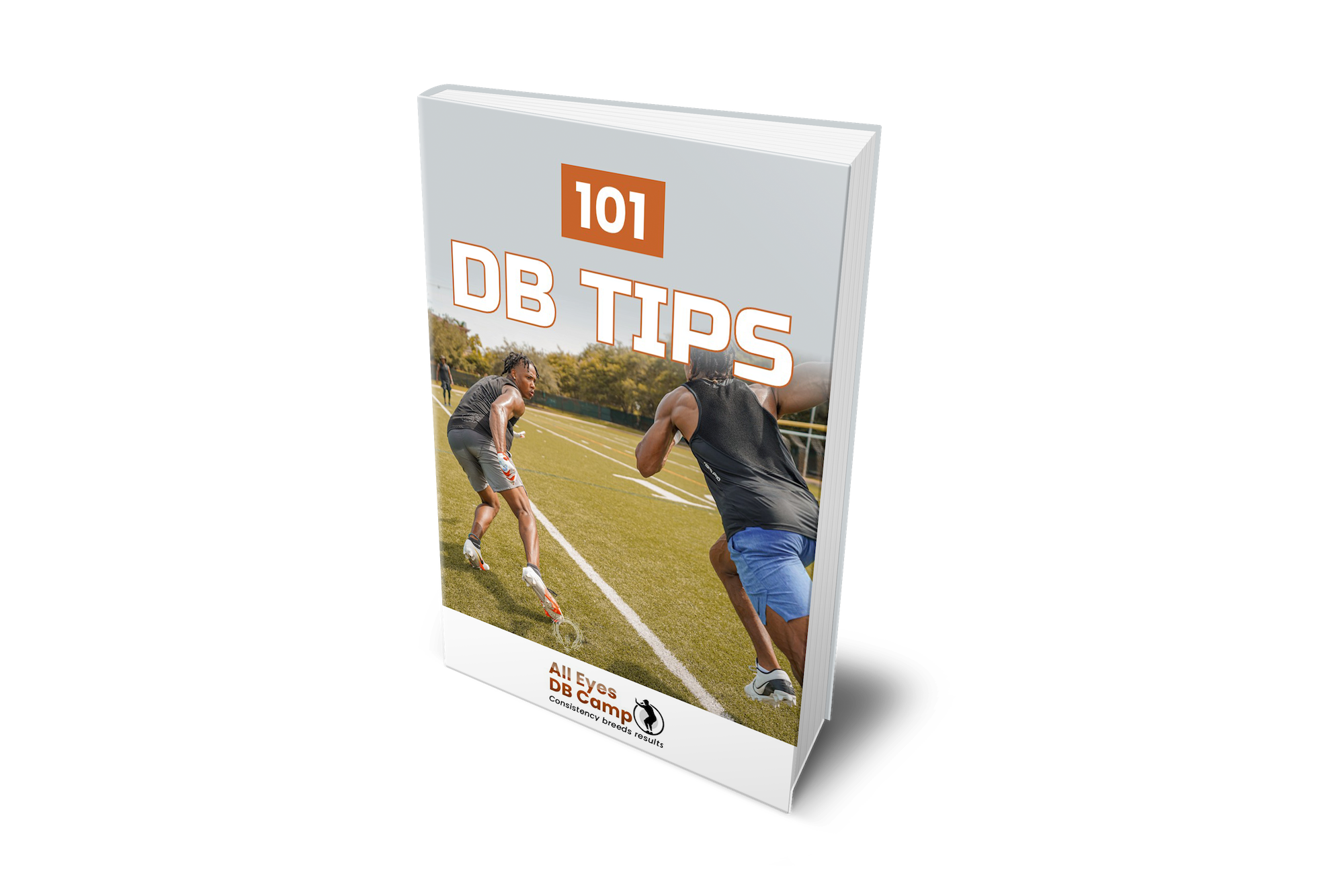 101 DB Tips Version II  (Soft Cover Version)